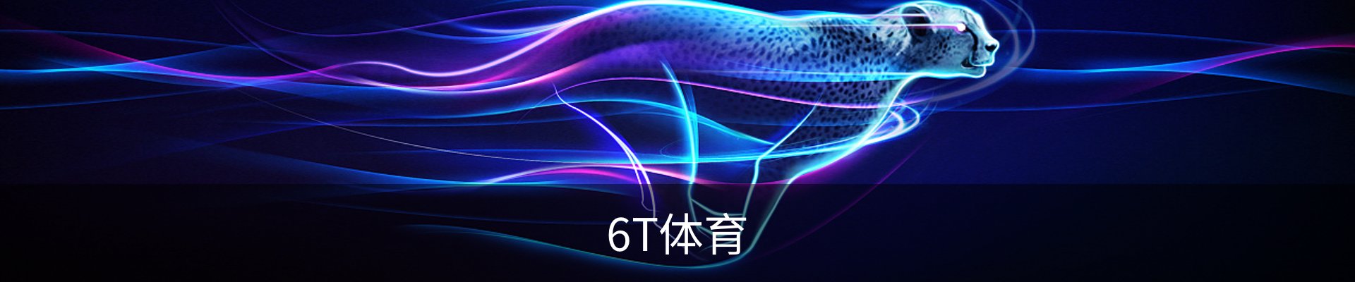 6T体育